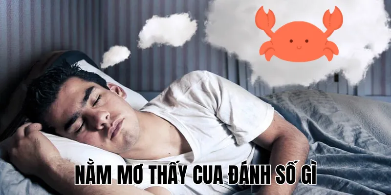 Nằm Mơ Thấy Cua Đánh Số Gì
