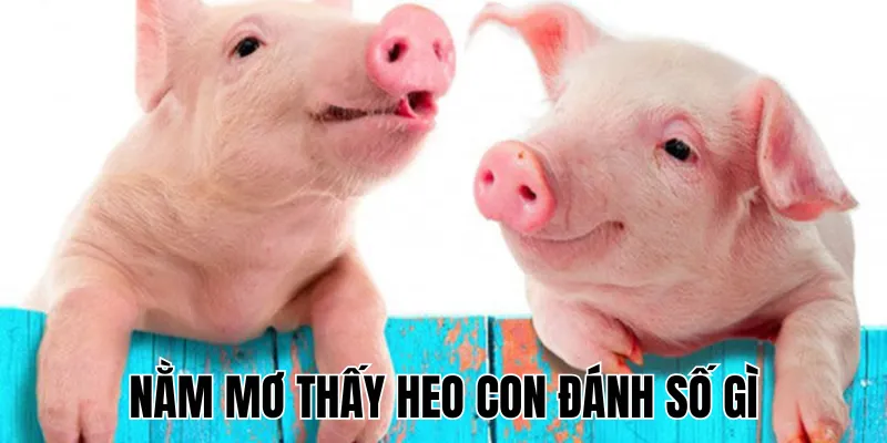 Nằm Mơ Thấy Heo Con Đánh Số Gì