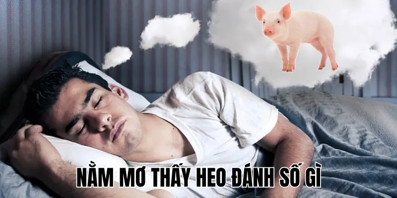 Nằm Mơ Thấy Heo Đánh Số Gì