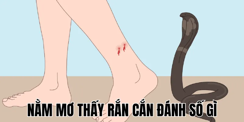 Nằm Mơ Thấy Rắn Cắn Đánh Số Gì
